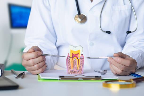 Best Emergency Pediatric Dental Care in Ofallon, IL